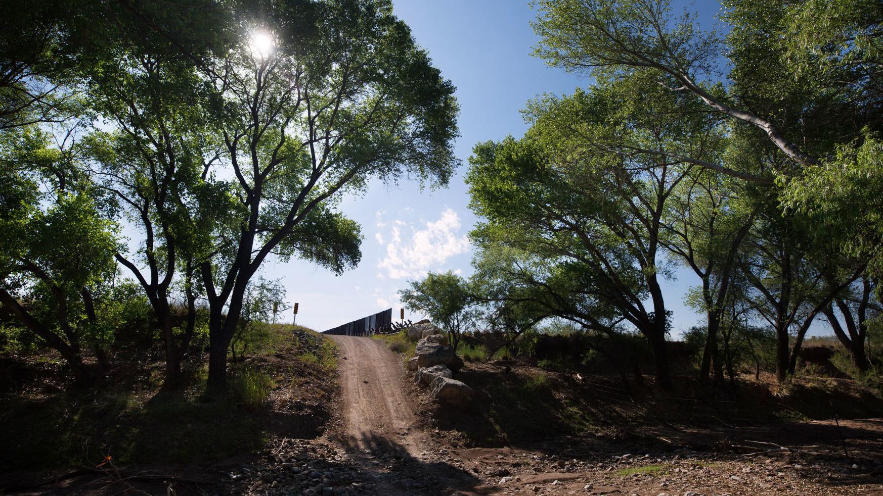 Environmental groups sue to stop cattle grazing in San Pedro River preserve